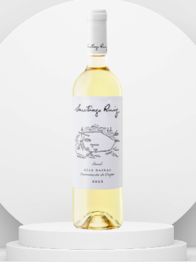 SANTIAGO RUIZ ALBARIÑO